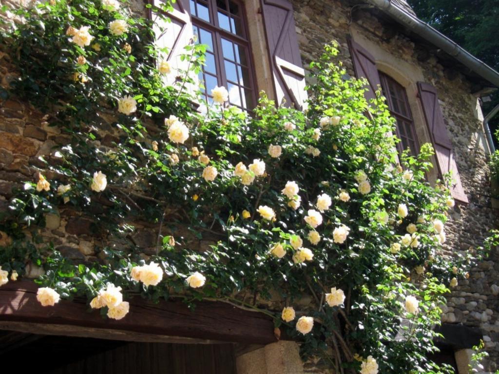 Chambres D'Hotes De Charme Le Pradel Monceaux-sur-Dordogne Εξωτερικό φωτογραφία