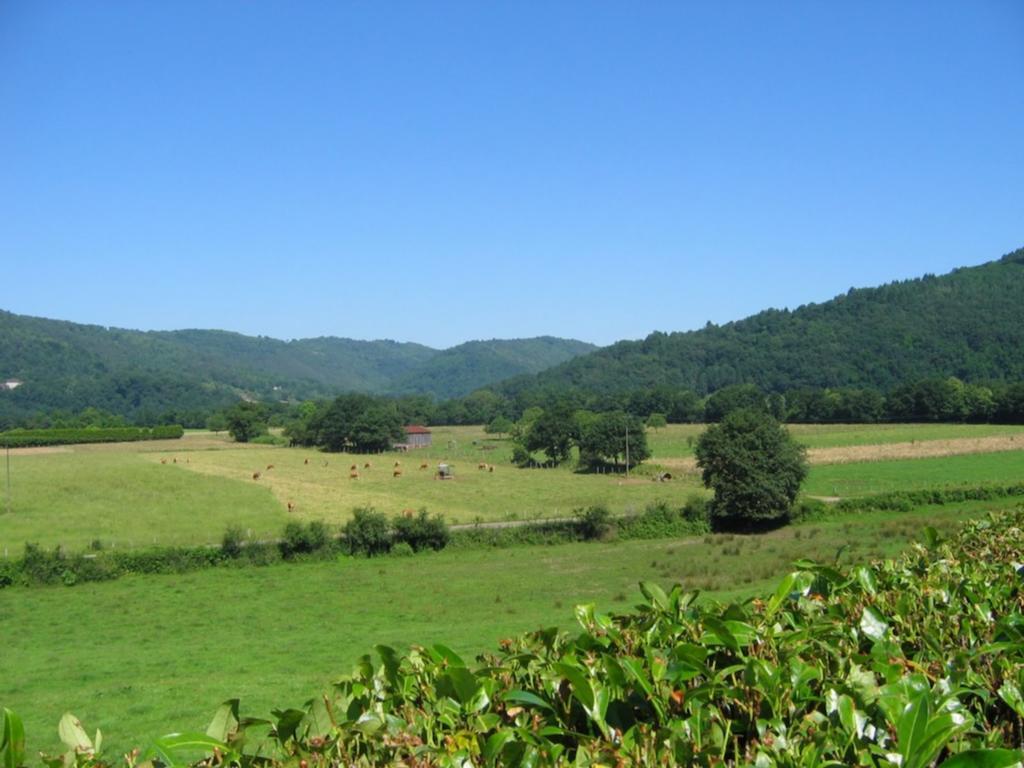 Chambres D'Hotes De Charme Le Pradel Monceaux-sur-Dordogne Εξωτερικό φωτογραφία