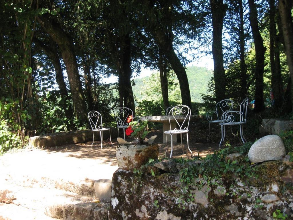 Chambres D'Hotes De Charme Le Pradel Monceaux-sur-Dordogne Εξωτερικό φωτογραφία